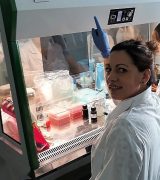 Photo of Др Данијела Арсенов Photo of Др Данијела Арсенов